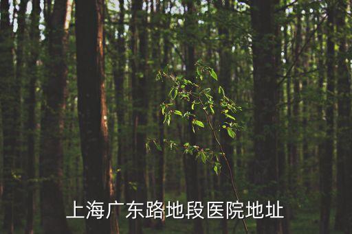 上海市華陽地段醫(yī)院服務電話號碼，上海廣東路地段醫(yī)院地址