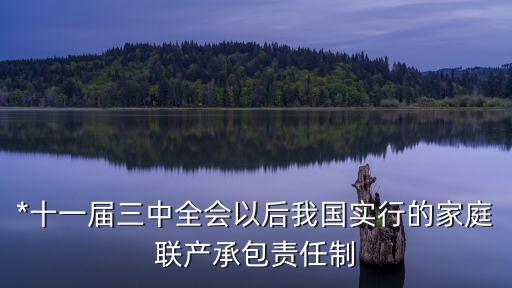家庭聯產，什么叫家庭聯產承包責任制簡單回答