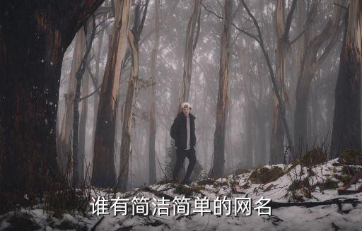 簡(jiǎn)潔的網(wǎng)名，好聽(tīng)的簡(jiǎn)約網(wǎng)名