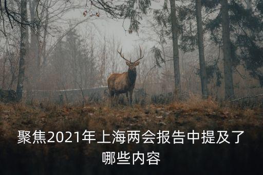 上海市兩會報告，聚焦2021年上海兩會報告中提及了哪些內(nèi)容