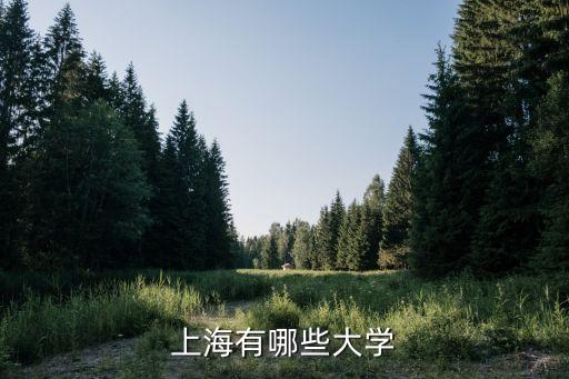 上海市所本科大學(xué)，求上海所有本科大學(xué)名字急急急