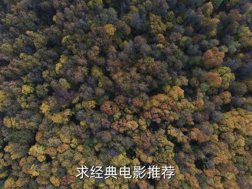 經(jīng)典電影大全，有哪些好看的經(jīng)典電影