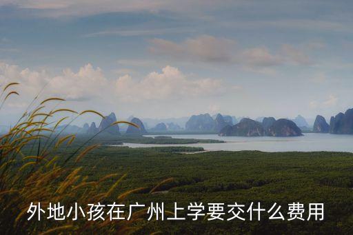 外地人在廣州上學(xué)需要借讀費嗎，我小孩子原先在河源上學(xué)請問現(xiàn)在來廣州上學(xué)要交借讀費嗎