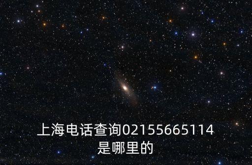 上海電話查詢02155665114是哪里的