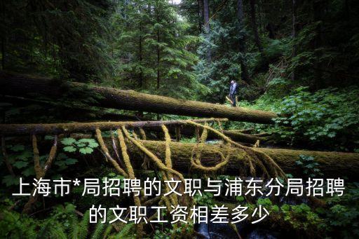 上海市*機關文職2017，上海市*局招聘的文職與浦東分局招聘的文職工資相差多少