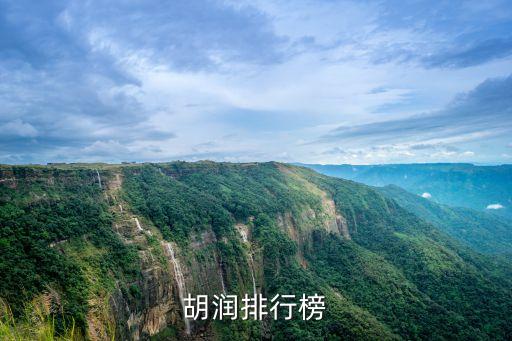 廣州石獅首富是誰，胡潤排行榜