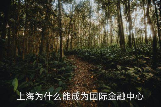 上海市經濟開發區協會，我們是上海經濟開發區專門從事公司的注冊