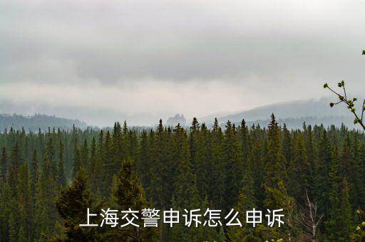 上海市*局 申訴，上海交警申訴怎么申訴