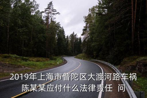 2019年上海市普陀區大渡河路車禍陳某某應付什么法律責任  問