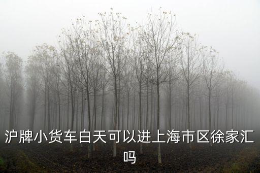 滬牌貨車能進上海市區嗎，滬牌小貨車可以白天進上海市區徐家匯嗎