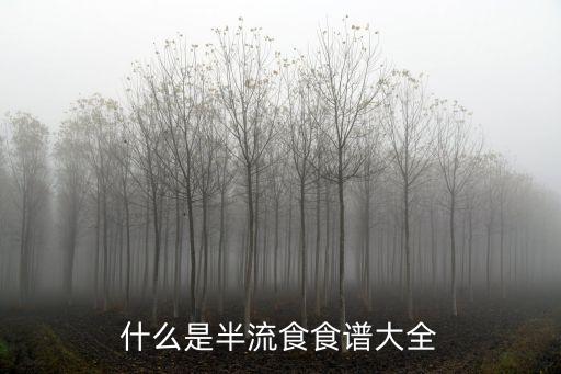 半流食食譜大全，四歲孩子吃什么半流食好