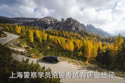 上海市*系統(tǒng)招生考試，上海警察學(xué)員招警考試有哪些途徑
