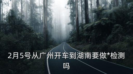 廣州自駕*，2月5號從廣州開車到湖南要做*檢測嗎