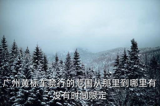 從廣州高速路過會變黃碼嗎，廣州到東莞穗康碼會變色嗎