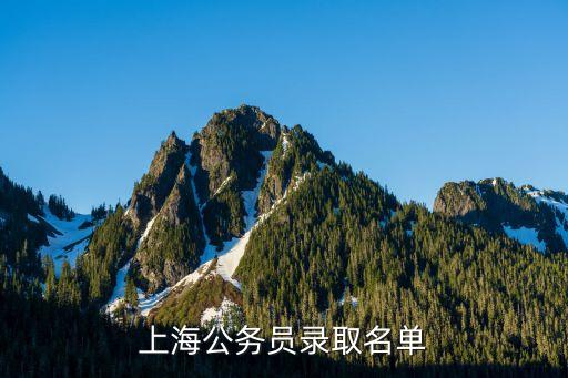 2019上海市公務(wù)員合格名單，上海公務(wù)員錄取名單