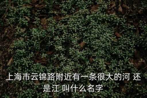 年上海市 云錦東方，上海市云錦路附近有一條很大的河 還是江 叫什么名字