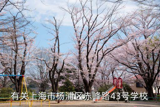 上海市惠靈頓學校地址，Wellington是哪里