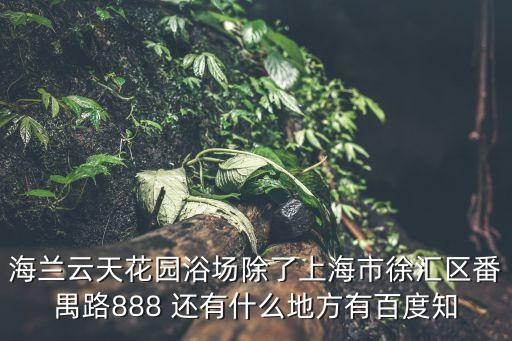 上海市黃浦區(qū)足浴按鍵，海蘭云天花園浴場除了上海市徐匯區(qū)番禺路888 還有什么地方有百度知
