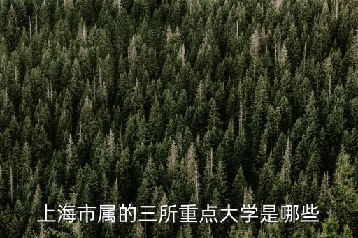 上海市屬的三所重點大學是哪些