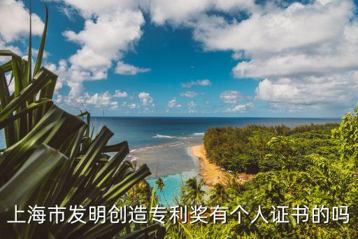 2009年上海市發明創造專利獎，上海市發明創造專利獎有個人證書的嗎