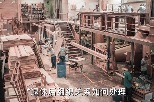 上海市退休人員黨組織關系，*退休后組織關系如何處理