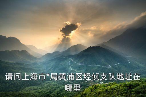 上海市*局黃浦分局經濟偵查支隊，請問上海市*局黃浦區經偵支隊地址在哪里