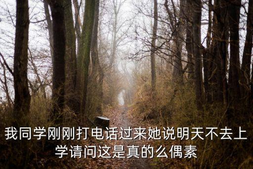 上海市中小學延遲開學通知，我同學剛剛打電話過來她說明天不去上學請問這是真的么偶素