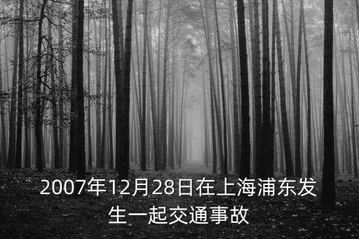 2007年12月28日在上海浦東發生一起交通事故