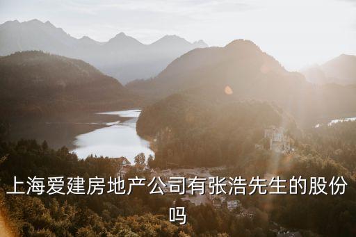 上海市張浩，上海愛建房地產公司有張浩先生的股份嗎