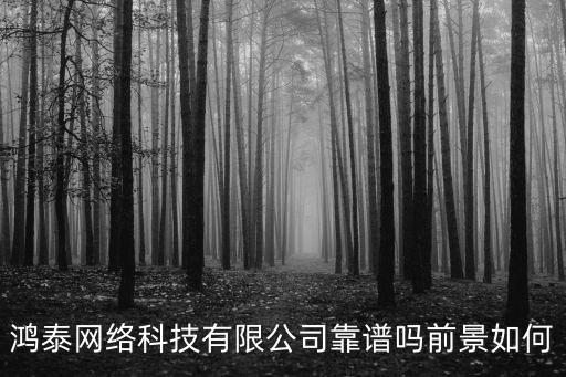 廣州鴻泰網絡咨詢有限公司，廣州工商局網查詢企業