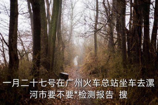 一月二十七號在廣州火車總站坐車去漯河市要不要*檢測報告  搜