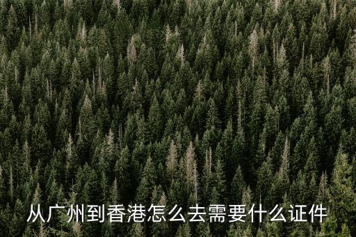廣州進(jìn)去香港，廣州市區(qū)如何進(jìn)香港