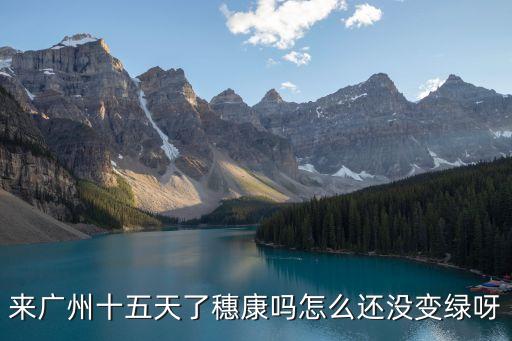 廣州 * *，黃碼人員可以出行嗎