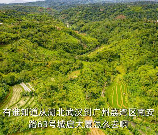 廣州荔灣區低風險區能去湖北嗎，天河棠下怎么去荔灣區萬福路143號