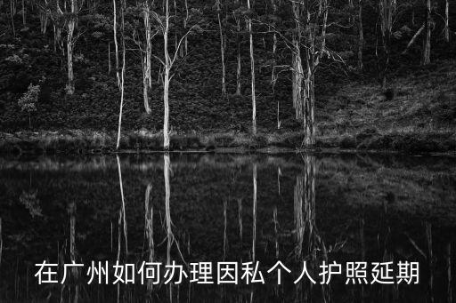 在廣州如何辦理因私個(gè)人護(hù)照延期