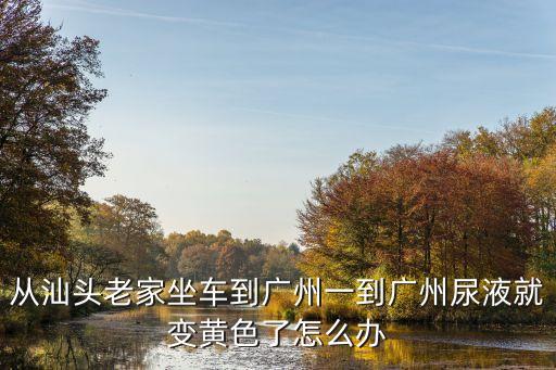 外省回廣州碼變黃，從汕頭老家坐車到廣州一到廣州尿液就變黃色了怎么辦