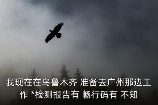 我現在在烏魯木齊 準備去廣州那邊工作 *檢測報告有 暢行碼有 不知