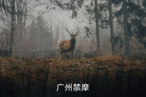 廣州禁摩
