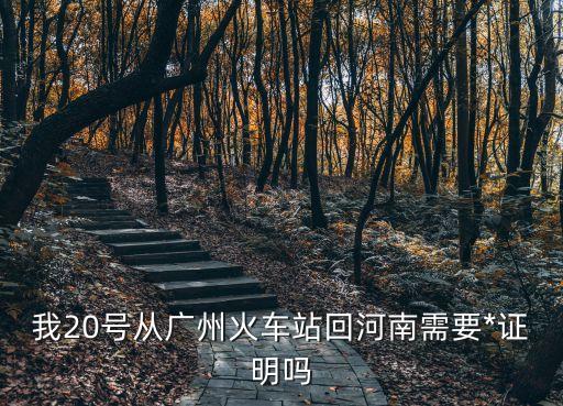 廣州去河南做*嗎，廣州人現在坐飛機去河南旅游回來要做*檢測嗎
