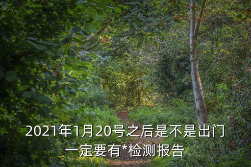 廣州荔灣區(qū)*檢測(cè)必須的嗎，2021年1月20號(hào)之后是不是出門(mén)一定要有*檢測(cè)報(bào)告