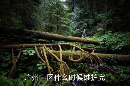 廣州*信息多久更新，廣州絕對領域幾時更新