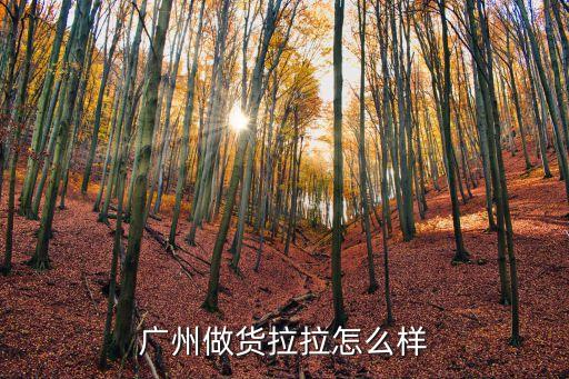 廣州貨拉拉*下好難做，在廣州做貨拉拉好做嗎一個月能賺多少錢