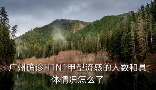 廣州確診H1N1甲型流感的人數和具體情況怎么了