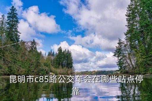 昆明市c85路公交車會在哪些站點停靠