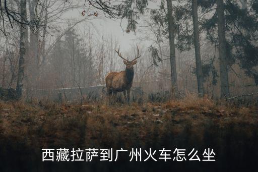 西藏拉薩到廣州火車怎么坐