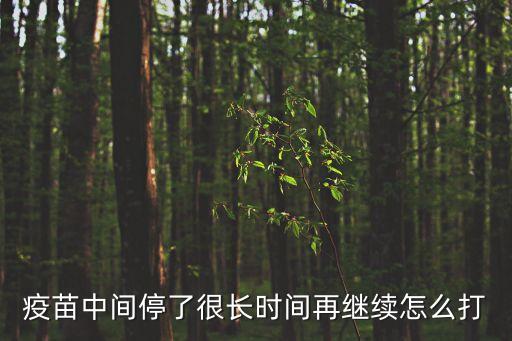 疫苗中間停了很長時間再繼續怎么打