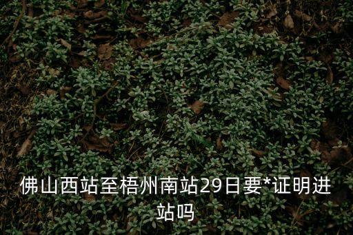 佛山去廣州南站要*嗎，佛山西站至梧州南站29日要*證明進(jìn)站嗎