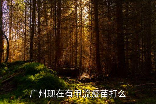 廣州各區接種人數，廣州現在有甲流疫苗打么