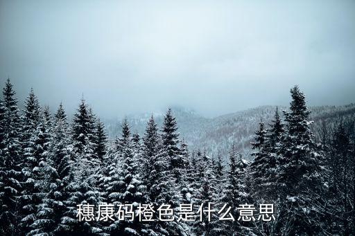 各市支援廣州各區*檢測，求廣東各市的車牌代碼