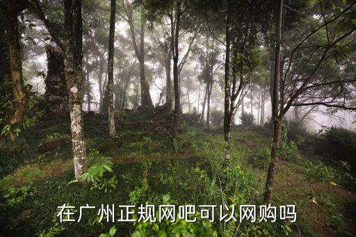 能從廣州網(wǎng)購嗎，因為*影響廣州那邊網(wǎng)購安全嗎